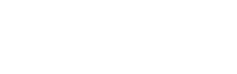 ソーシャルビレッジ